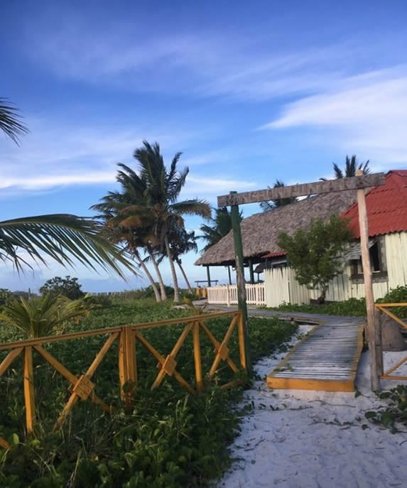 wooden path to the restaurant entrance