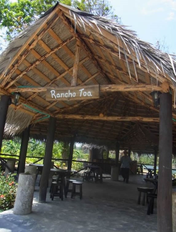 ranch with guano roof surrounded by greenery