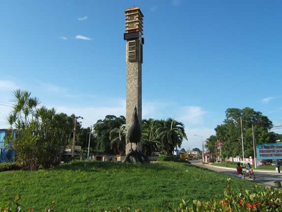 escultura de gallo de bronce rodeada de plantas