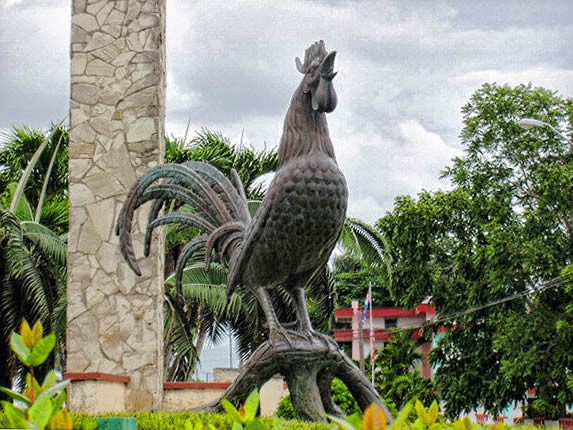 escultura de gallo de bronce rodeada de plantas
