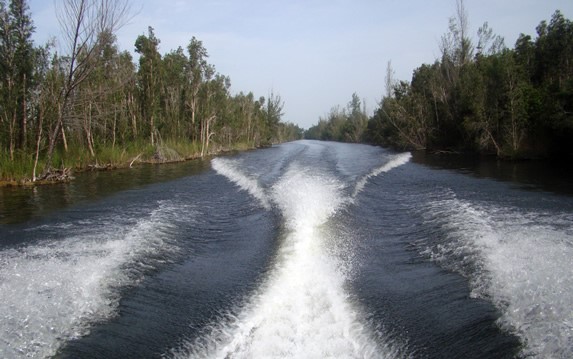 view of the lagoon from a moving boat