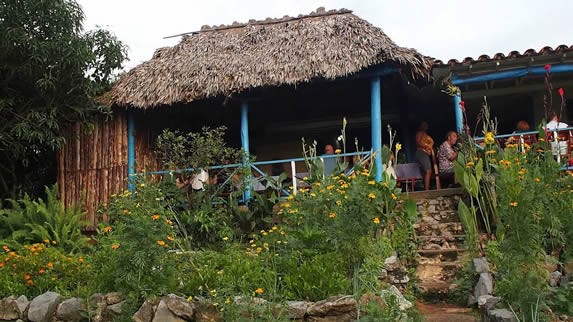 guano roof ranch surrounded by flowers