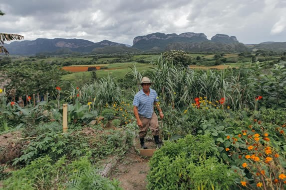 huerta rodeada de vegetación y montañas de fondo