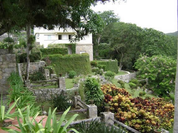 mountainous landscape full of vegetation