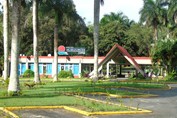 hotel facade surrounded by abundant vegetation