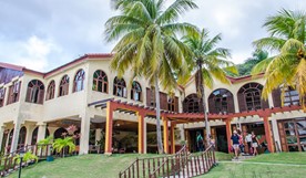 fachada del hotel rodeado de palmeras