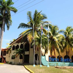 fachada del hotel rodeado de palmeras