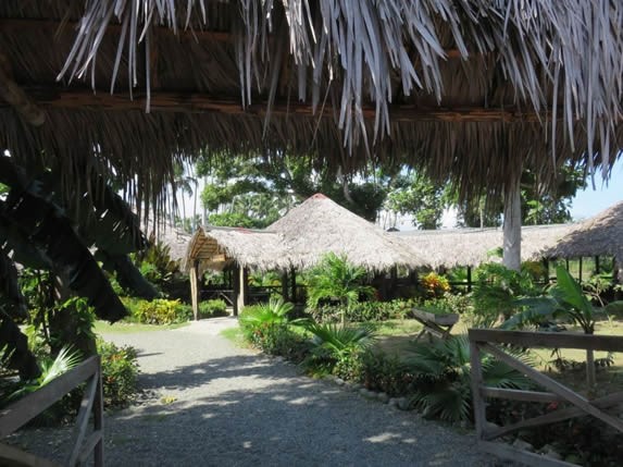 ranch with guano roof surrounded by greenery