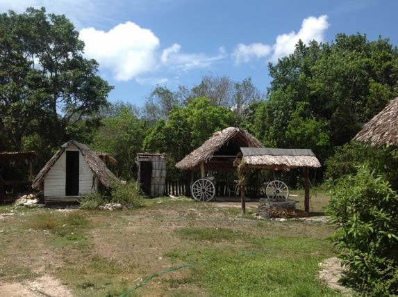 cabañas de madera y guano con vegetación