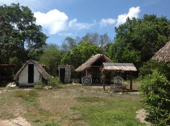 wooden and guano huts with vegetation