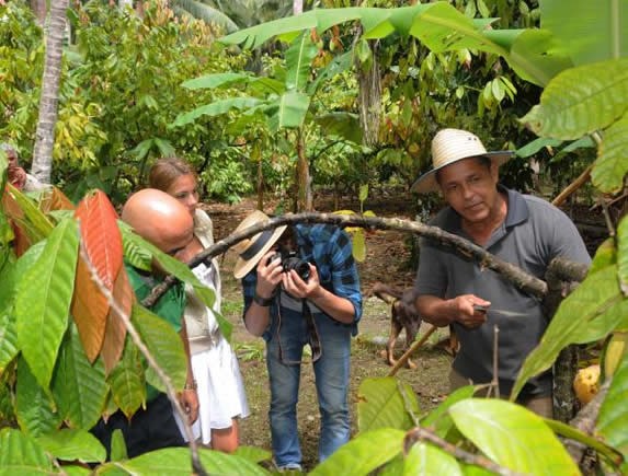 Finca Duaba, Plantaciones de Cacao, Baracoa, Cuba