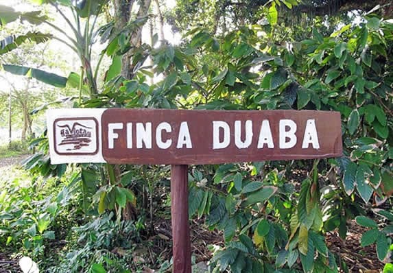 Finca Duaba en Baracoa, Cuba