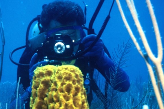 buzo bajo el agua fotografiando corales