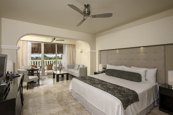 Platinum Suite Picture 3