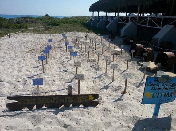 closed perimeter with sand floor and signs