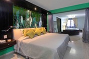 Luxurious hotel room