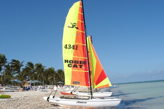sailboats on the sand surrounded by palm trees