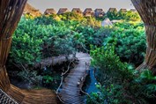 Wooden path through the Azulik Tulum hotel