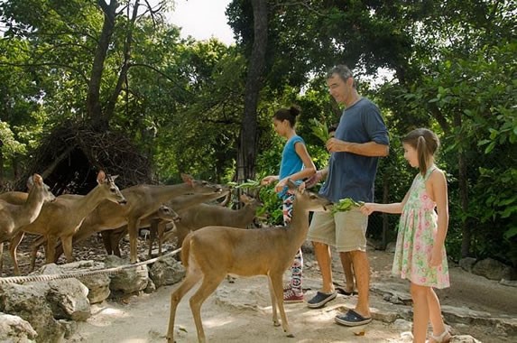 Animal Interaction at Crococun Zoo
