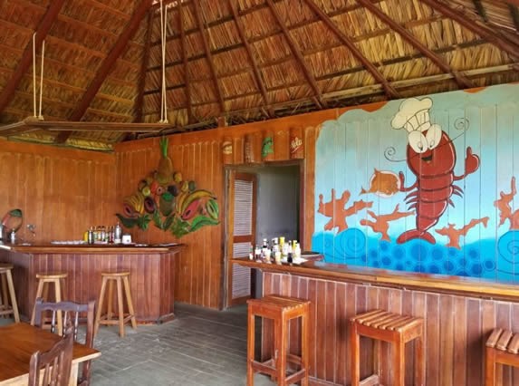 interior with guano roof and wooden walls