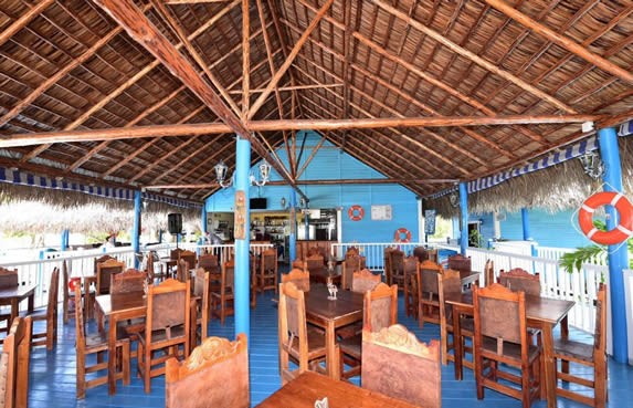 guano ceiling with wood and leather furniture