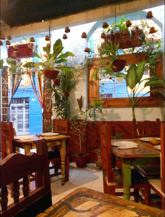 wooden furniture surrounded by greenery