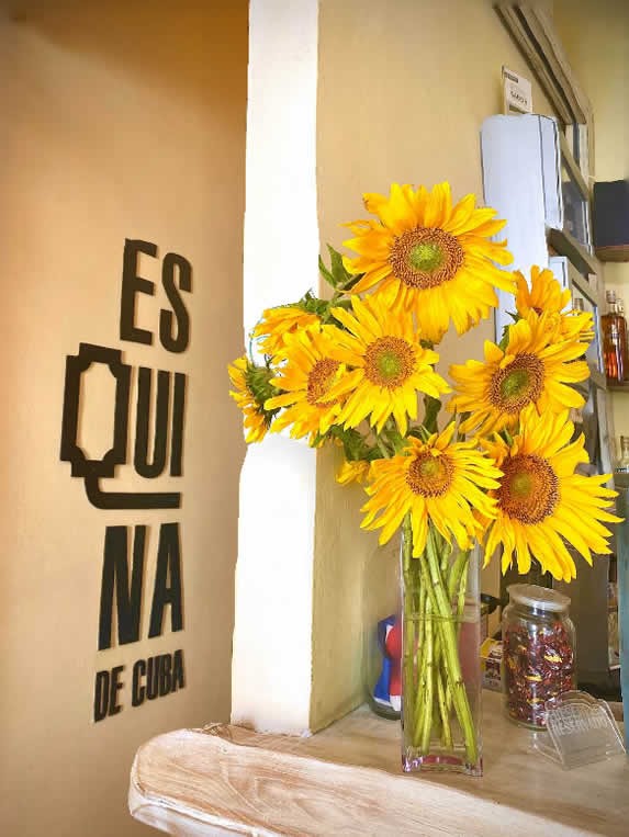 View of the interior of the restaurant