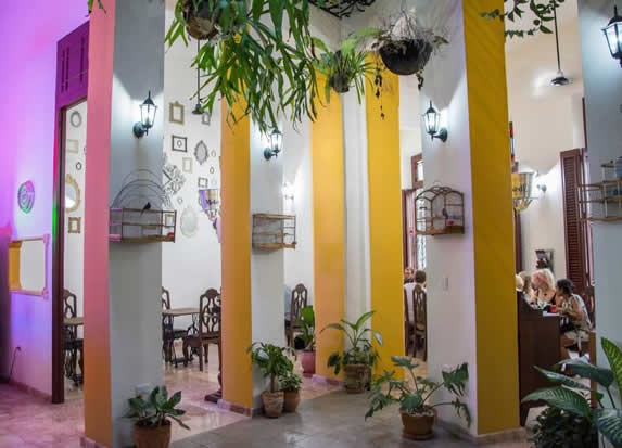 Vegetation inside the restaurant