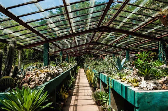 Interior of the Cupaynicu botanical garden
