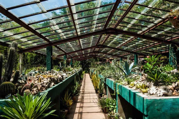 Interior del jardin botánico Cupaynicu