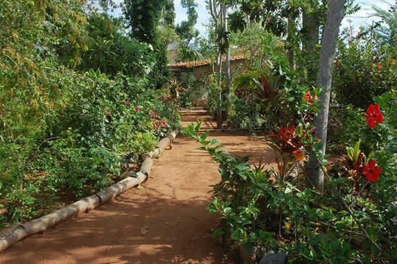 Paths inside the garden