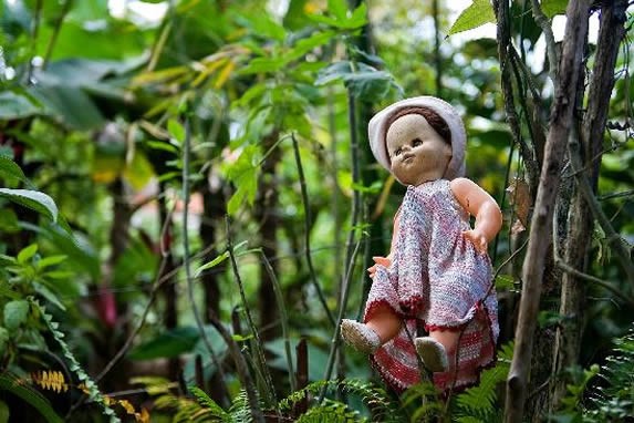 Interior del Jardín Botánico