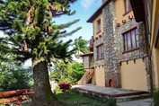 hotel garden with pine trees and greenery