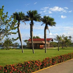 hotel gardens with palm trees and flowers