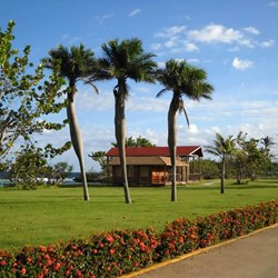 jardines del hotel con palmeras y flores