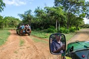 tourists in jeeps on the meadow