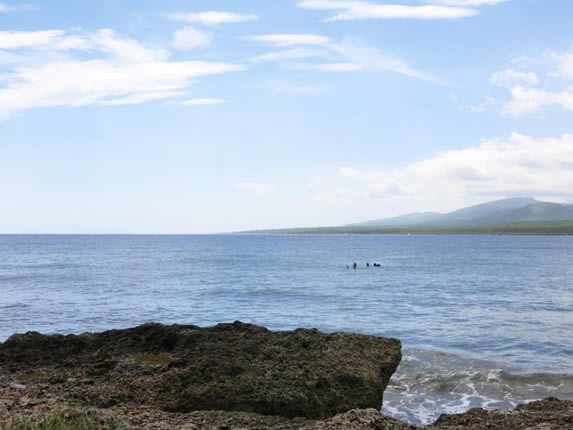 sea ​​surrounded by green and rocky surface