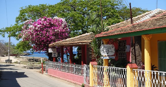 colonial houses surrounded by colorful flowers