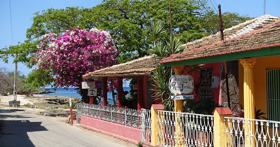 colonial houses surrounded by colorful flowers
