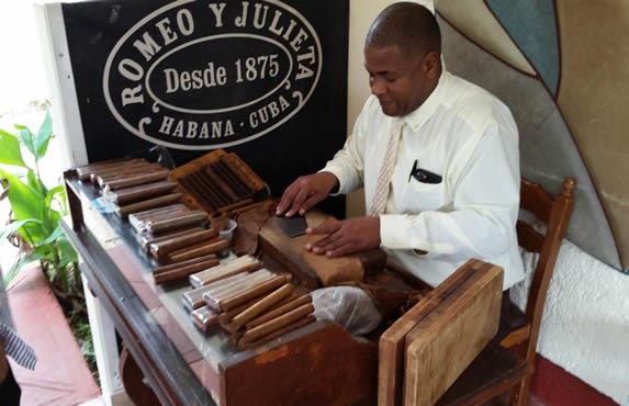 View of the tobacco production