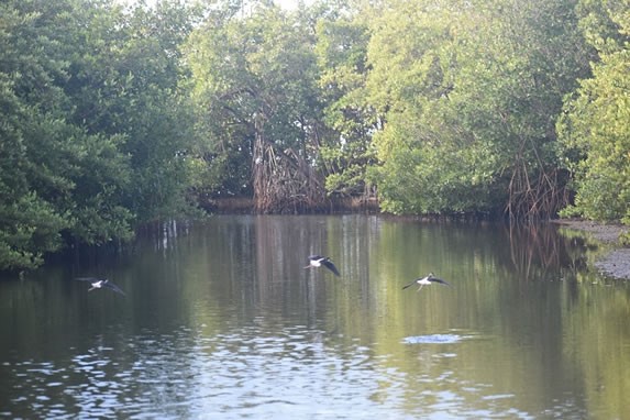 Lago en el monte Cabaniguan, Las Tunas 