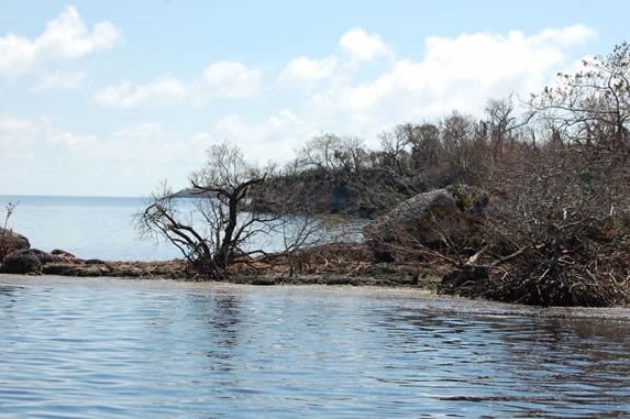 playa con roca y vegetación en la orilla