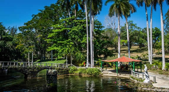 puente en la laguna rodeada de palmeras