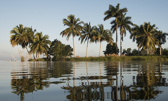 view of the lagoon with palm trees on the shore