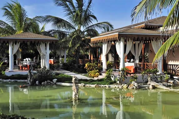 artificial lagoon with vegetation