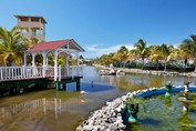 lagoon with pink flamingo and palm trees around