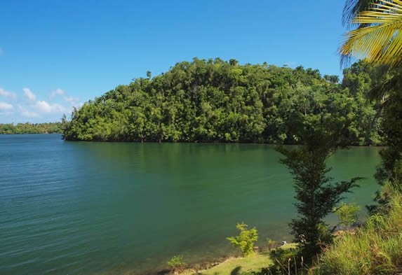 laguna con vegetación en la orilla