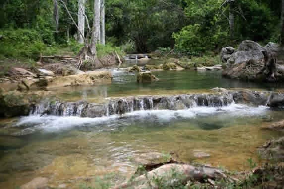 pequeño río con rocas y vegetación