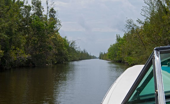 lagoon surrounded by greenery seen from a boat
