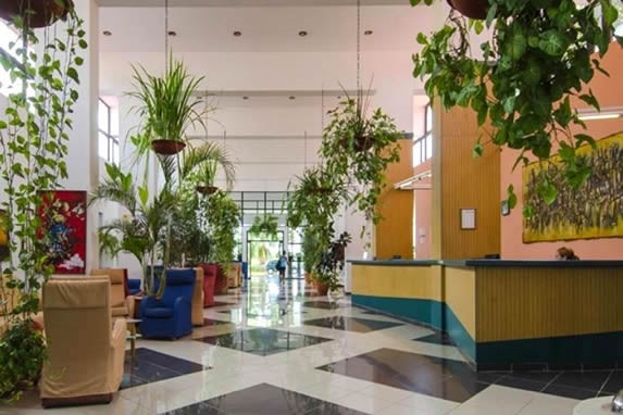 lobby with abundant plants and colorful furniture